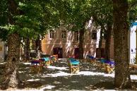 Central Suites & Apartments