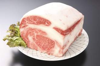 Shizuoka Kita Washington Hotel Plaza