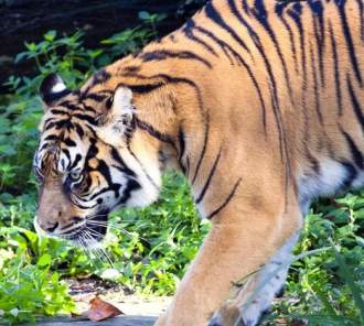 DoubleTree by Hilton Hotel Albuquerque