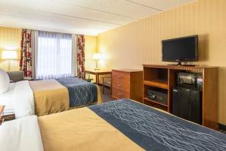 Comfort Inn Arlington Blvd/DC Gateway