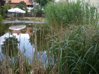 Altstadthotel Ilsenburg