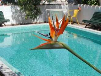 Tavira Inn Hotel - Guest House