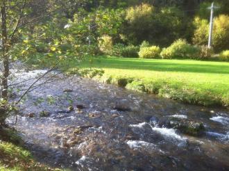 Kull von Schmidsfelden