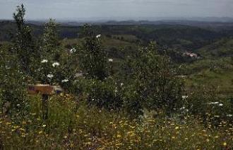 QUINTA DO CHOCALINHO