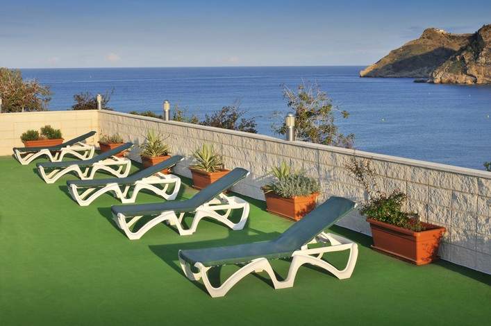 Kaktus Albir