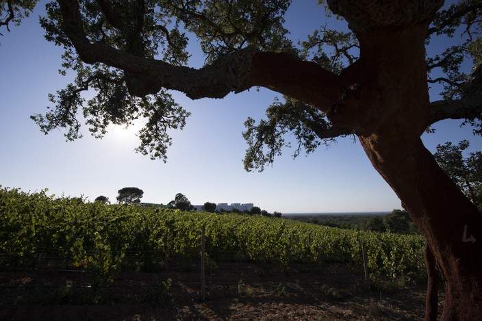 A Serenada Enoturismo