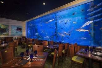 Guy Harvey Outpost