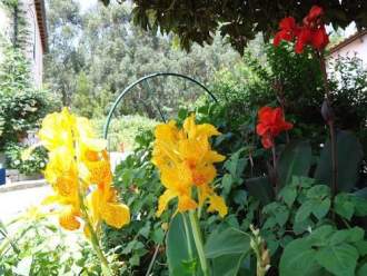 Quinta do Vale do Monte