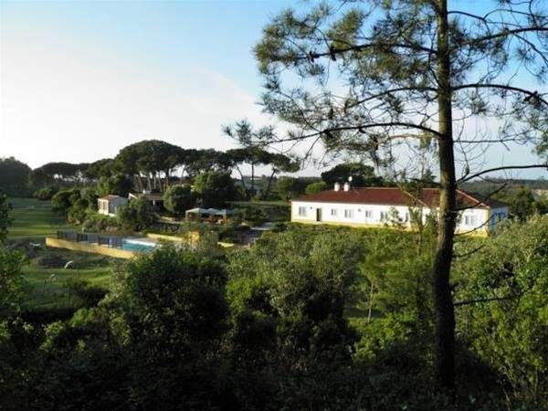 Quinta da Torre - Turismo no Espaço Rural - Agroturismo 