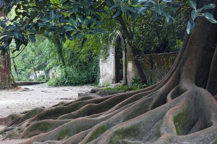 Quinta das Lagrimas