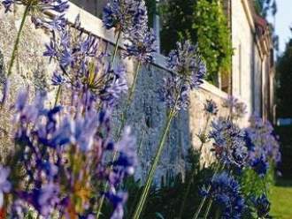 Hotel Charme Quinta Do Pinheiro