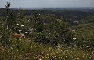 QUINTA DO CHOCALINHO