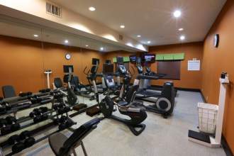 Holiday Inn Express Hotel And Suites Dallas West